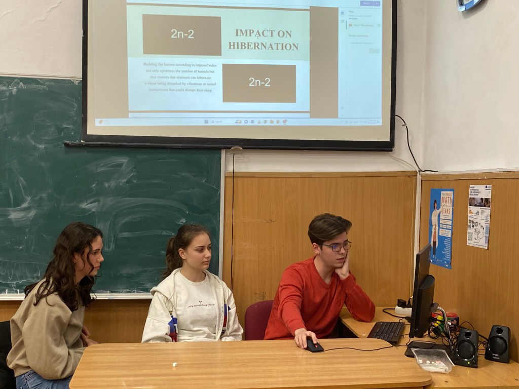 Video-conferință despre …&nbsp;marmote