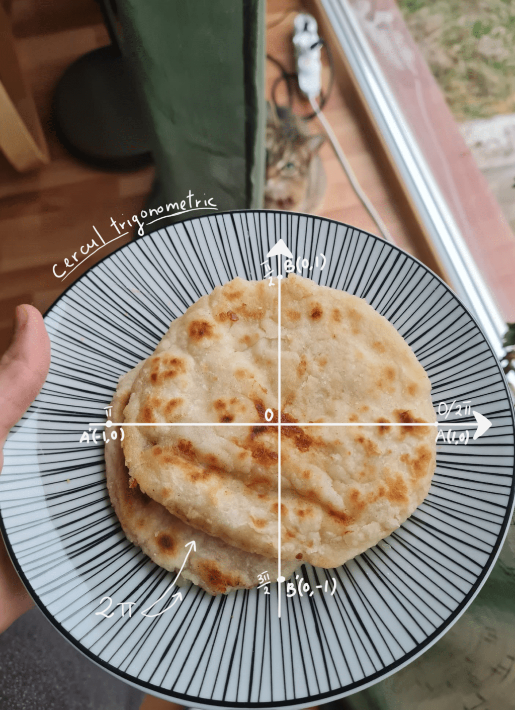 Ziua Internațională a Matematicii (2024)